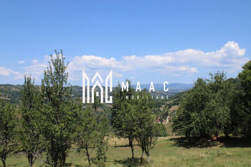 Fabrică de cherestea | Câmpeni | teren 8.000 mp