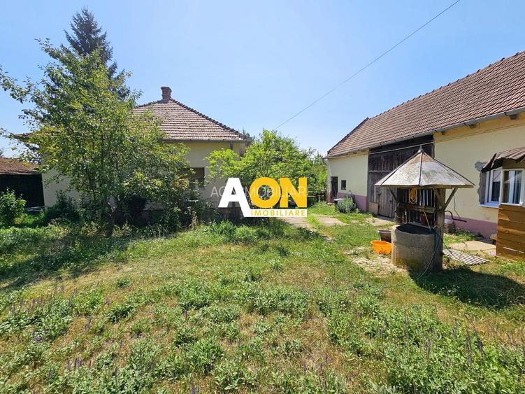Casa renovata, 2 corpuri de cladire + anexe, 1331 mp teren, Paclisa - 2
