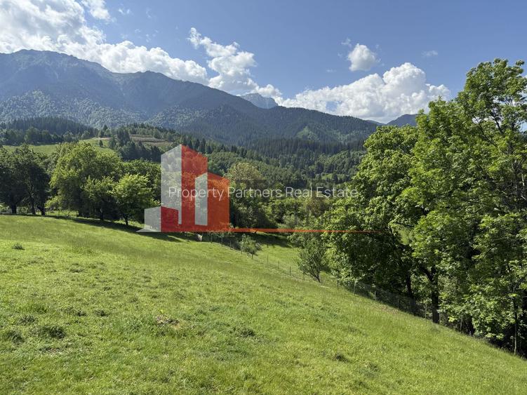 Teren cu priveliște spectaculoasă în Bran – Sohodol