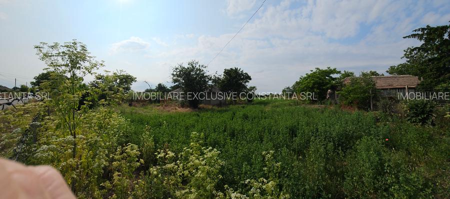 Teren 5.465 mp intravilan și front stradal – Topraisar, Constanța Comision Zero - 8