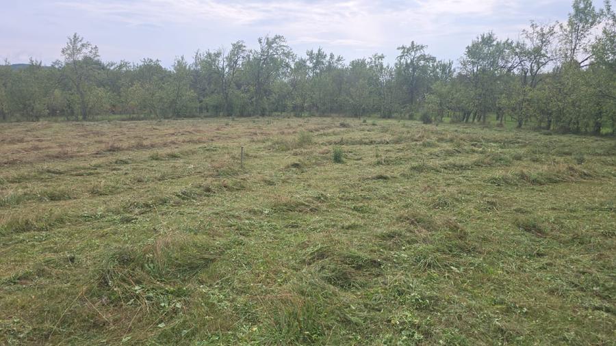 Teren intravilan pentru constructie rezidentiala