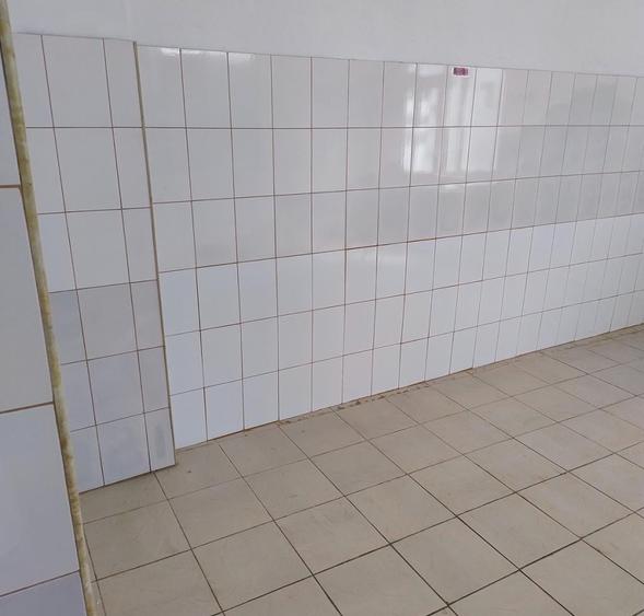 Spatiu Comercial | Cismigiu | Victoriei | Stradal