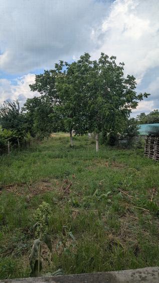 Casă de vânzare – Parter, Buftea, Centru! 25 de min de Bucuresti