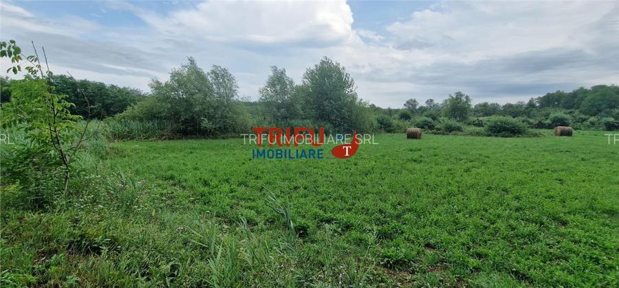 Oportunitate de Investiție: Teren 24000mp Intravilan Construibil în Ga - 8