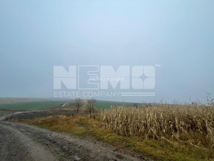 TEREN EXTRAVILAN | DOUA PARCELE 2.84 HA| DARMANESTI - 15