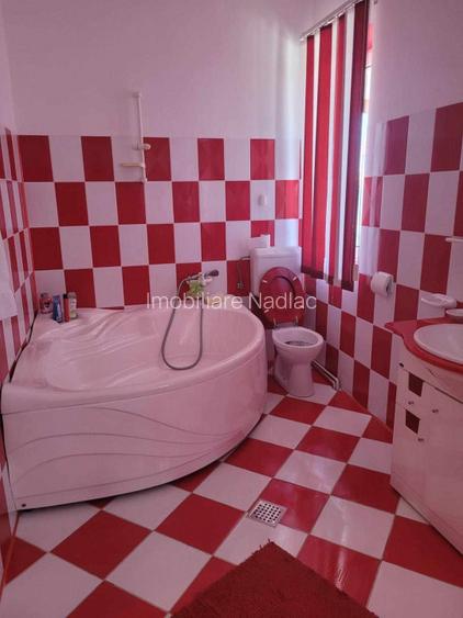 ViLA de LUX  cu un DESIGN deosebit in centrul orasului Nadlac - 19
