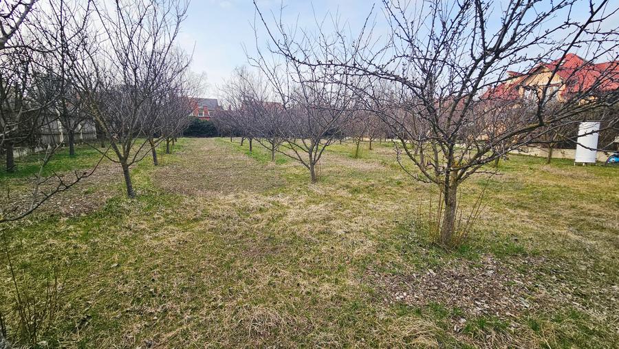 Teren ideal resedinta in Iancu Nicolae - Pipera | Serban Cantacuzino | 1000 mp