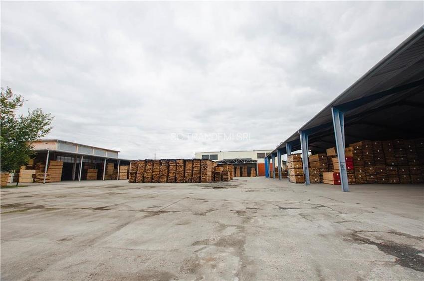 Hala industriala de 2700mp cu 3,1 ha teren intravilan in Miercurea Sibiului - 31