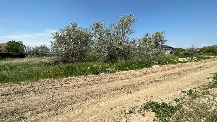 TEREN INTRAVILAN DESTINATIE REZIDENTIALA.