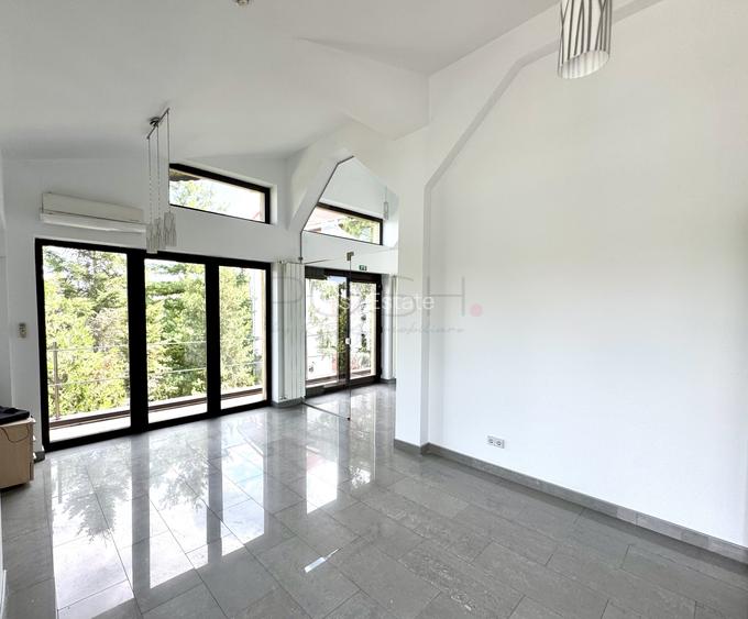 Vila Baneasa, teren 380mp, pretabilă birouri, restaurant, hub, curte - 7