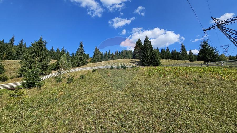 Casă / Vilă de vacanta in Dorna Arini, Suceava - 57