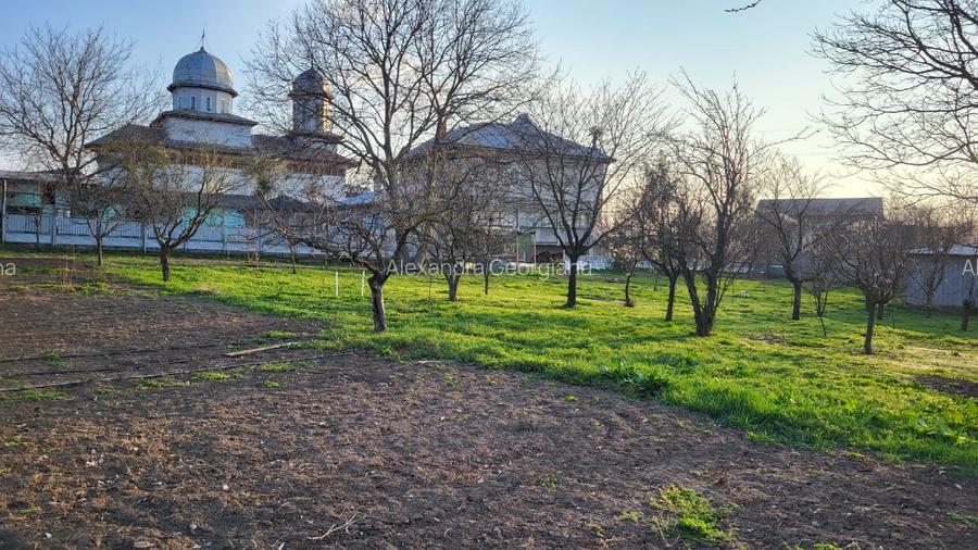 Teren 3073 mp + casa la marginea satului Dascalu 13 km de centura Bucuresti - 7