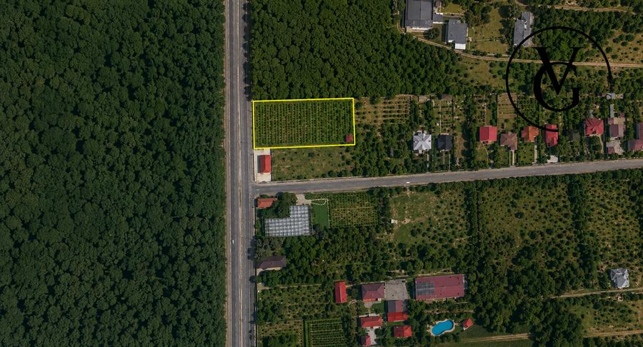 Teren intravilan cu acces direct DN1 | Saftica - Balotesti