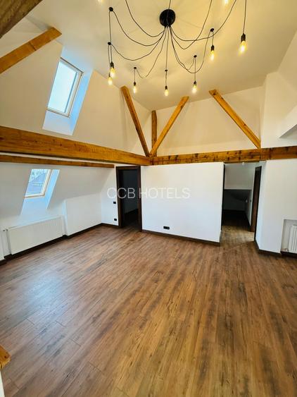 Apartament de vacanta (AP12)- TVA 0% - Vila in stil Neo-Romanesc - 3