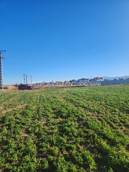 Vanzare teren constructii casa - 4
