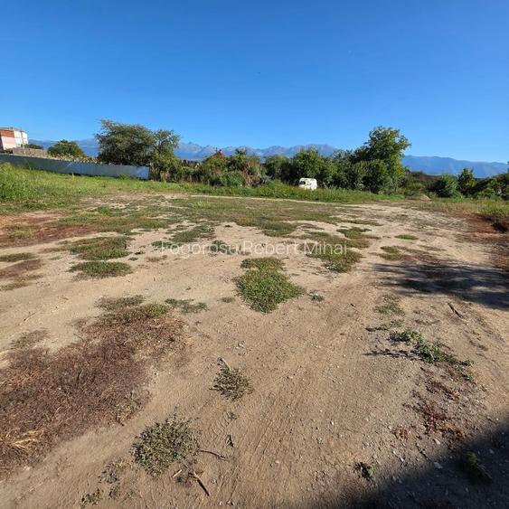 Teren intravilan de vânzare în Avrig, jud. Sibiu – 3.982 mp - 4