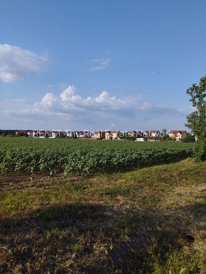 SE VINDE TEREN 5000 MP INTRAVILAN, MIXT CU DESCHIDERE LA DJ101 DE 42m - 2