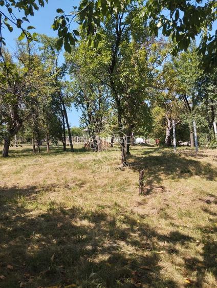 Teren intravilan 2828 mp+autorizatie casa-anexe-livada-Dorolea - 4