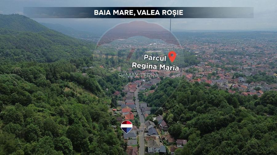 Casa de vanzare completa renovata Valea Rosie La 500 m de Parcul Mare - 9