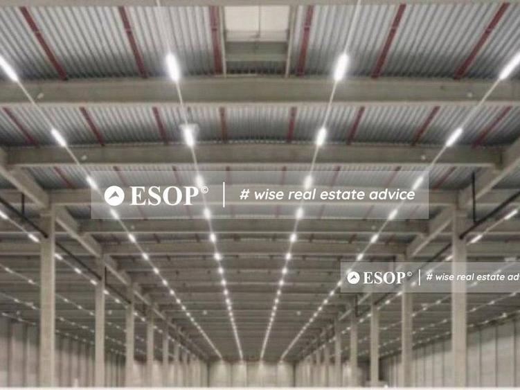 WDP Industrial Park Codlea, hale industriale, 0%comision, 2300-32870mp