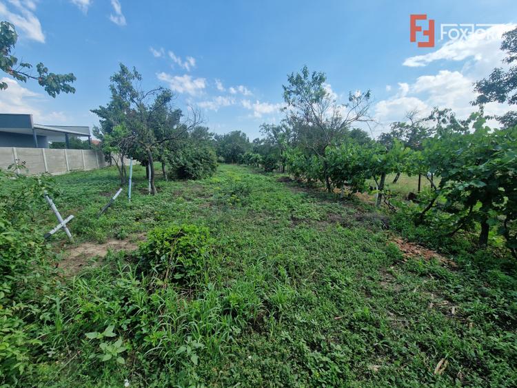 Teren de vanzare , ideal pentru construire casa/duplex