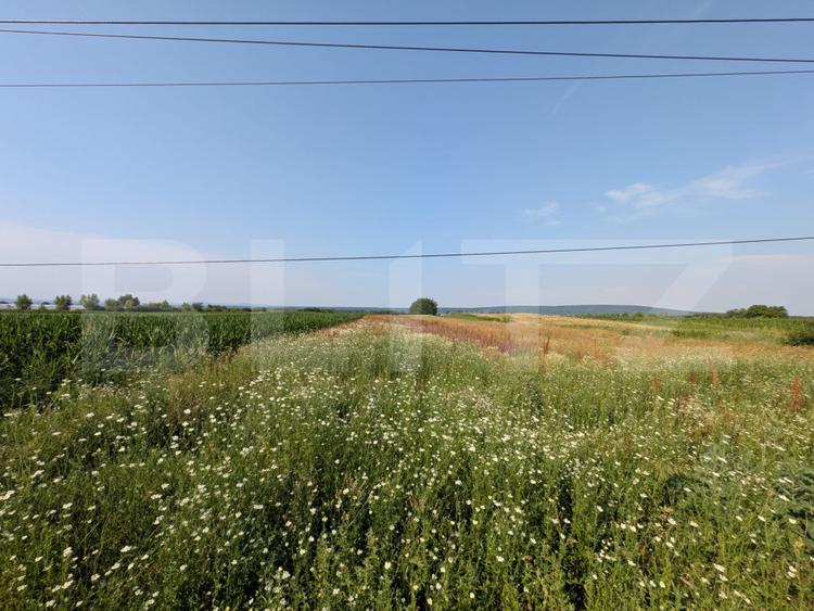Teren de vanzare, 3.000 mp, utilități și acces asfaltat, zona Comișani