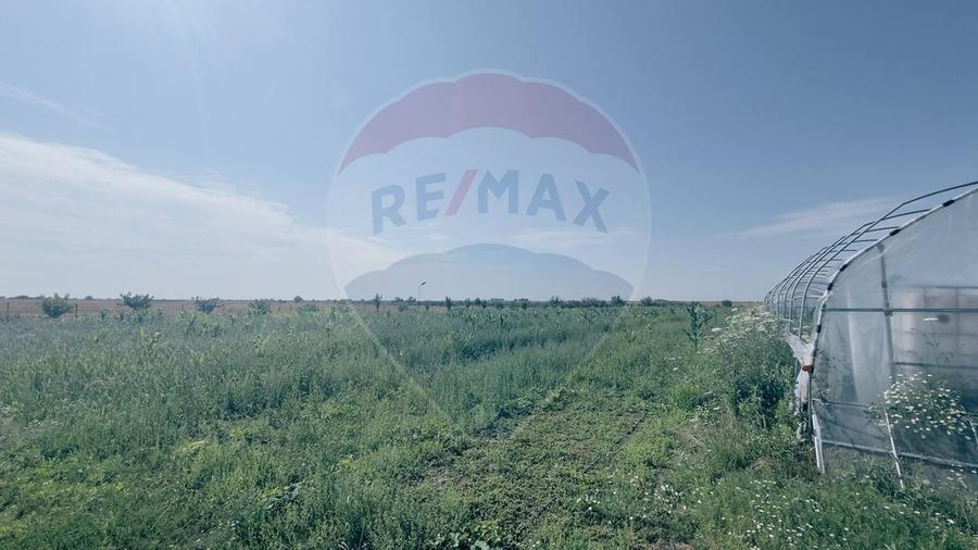 Teren agricol 16.750mp în Cârcea, imprejmuit, cultura capsuni, solarii