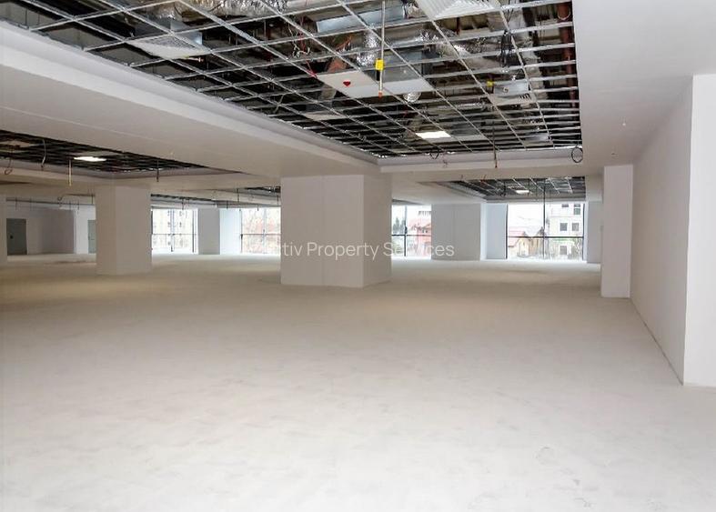 PLAZA ROMANIA OFFICE, Bd. Timisoara 26 - comision 0%, reprezentam proprietarul! - 4