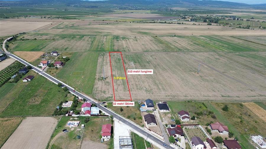 Teren in Golesti 9.848mp intravilan + extravilan pret 6 euro / mp