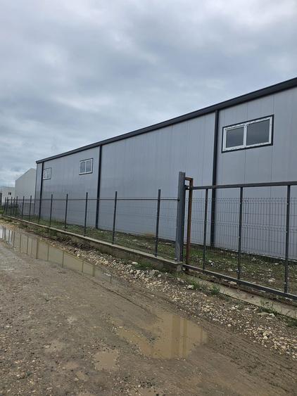Hale noi 2026 AFUMATI ( Moara Domneasca ) 2300 Euro