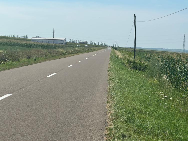 Teren intravilan Rachiti, 3868mp
