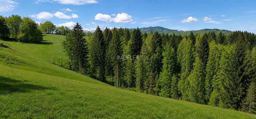 Bran Mountain Retreat – Doar 3 vile exclusiviste în inima Branului - 6