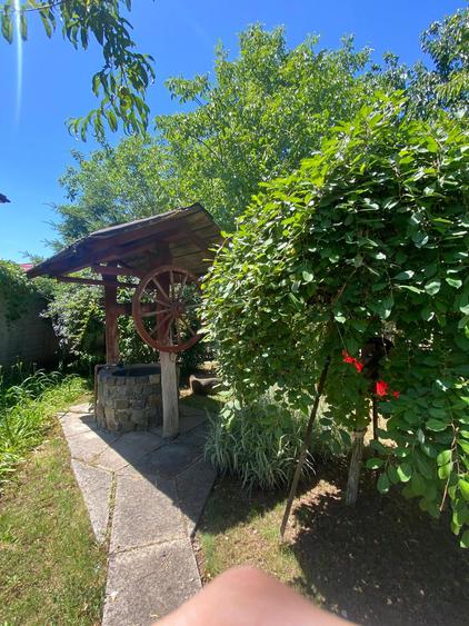 Domeniu Privat - Rosu/ Chiajna - Ilfov