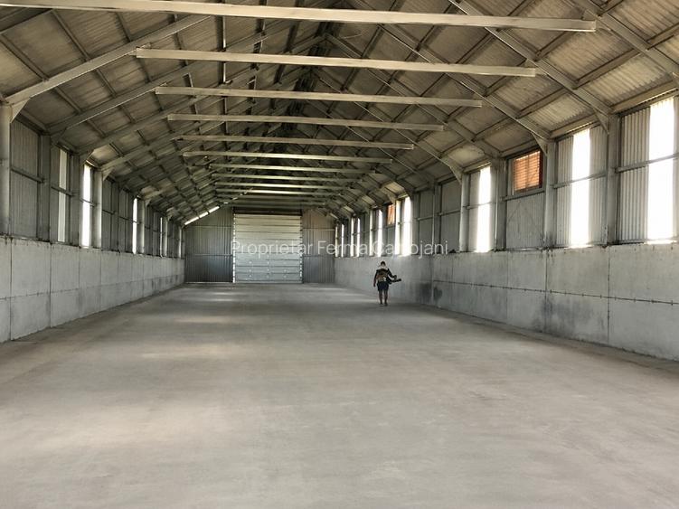 Teren 4,7 ha | Hală 770 mp | Cartojani, Giurgiu | Acces TIR