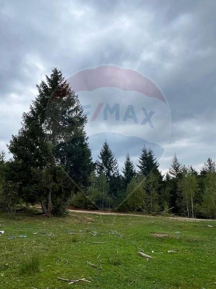 Teren extravilan parcelabil Călățele Pădure, zona Dealu Negru