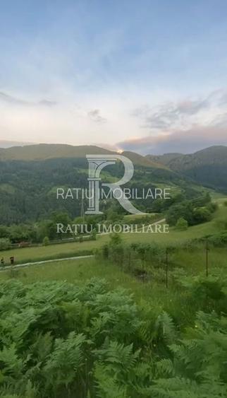 Teren 10.900mp | Panoramă în Apuseni | Remeți -Ideal pentru Investitii - 6