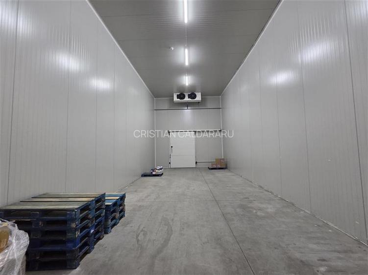 Inchiriere depozit frigorific congelare/hala/spatiu industrial Otopeni - Centura - 25