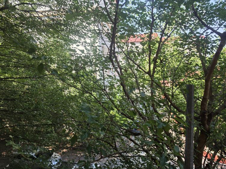 Vanzare garsoniera Fizicienilor sector 3