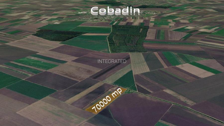 Teren extravilan arabil -70.000 mp- Cobadin, Constanța - 2