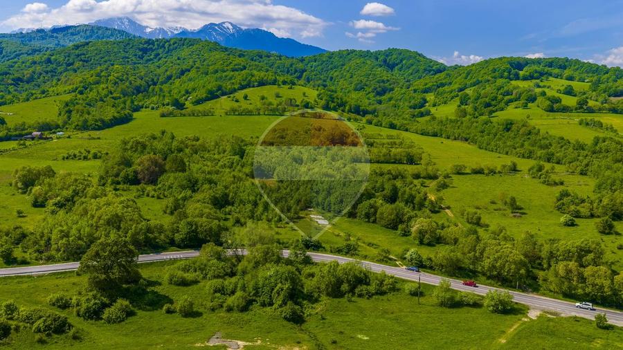 Teren 1ha Valea Glăjeriei - Rasnov | Comision 0%