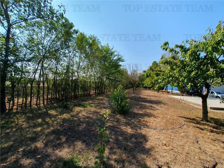 Teren intravilan agricol si teren curti constructii Lot 2 Parcela A326/49