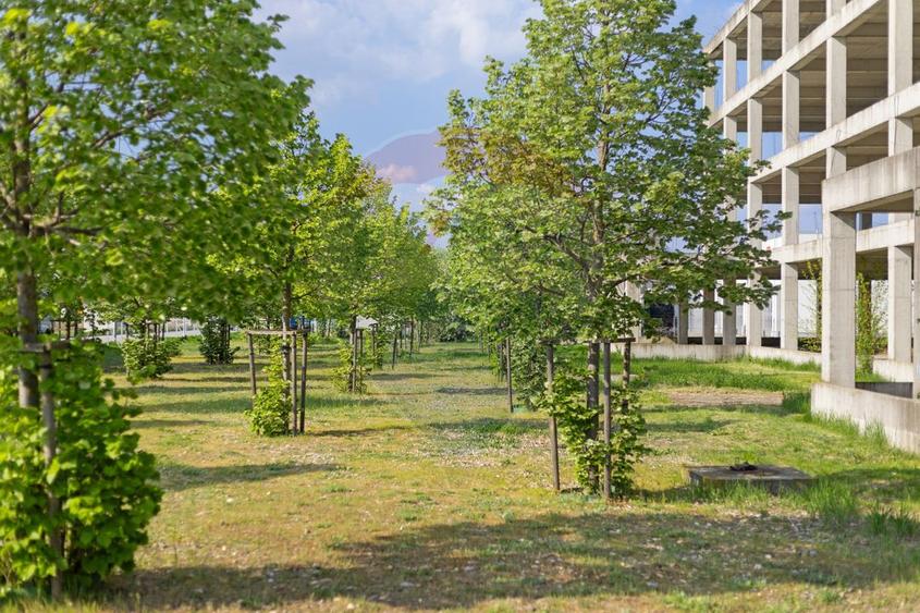 Teren cu construcție de beton, de vânzare, 3754 mp – zona Aradul Nou