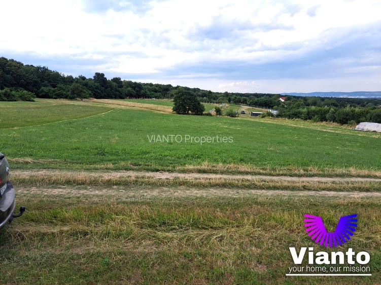 Oportunitate-Teren Extravilan 6200 mp cu vedere Panoramica-Tropinii Noi-Rasinari - 7