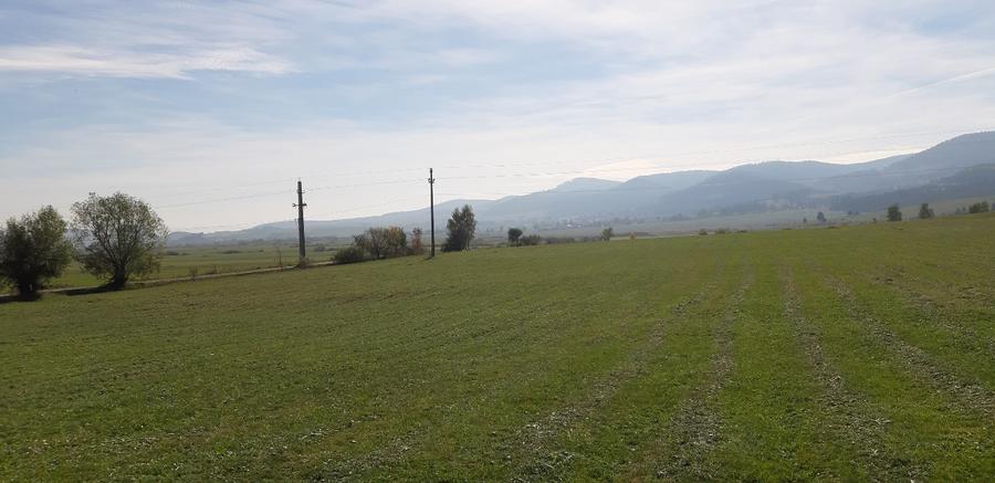 Vand teren la Subpadure la 150 m de scoala