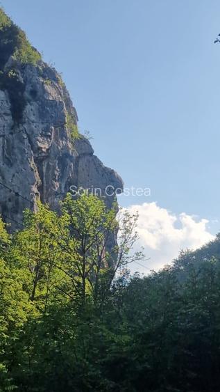 Teren pentru casă de vacanță - 3