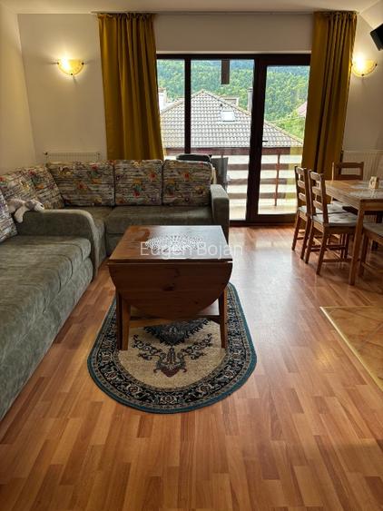 Apartament cu priveliște panoramică superbă către Munții Bucegi  - 6