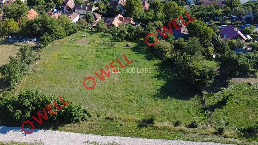 Teren intravilan de vânzare în Sfântu Gheorghe, str. Pădurii - 4