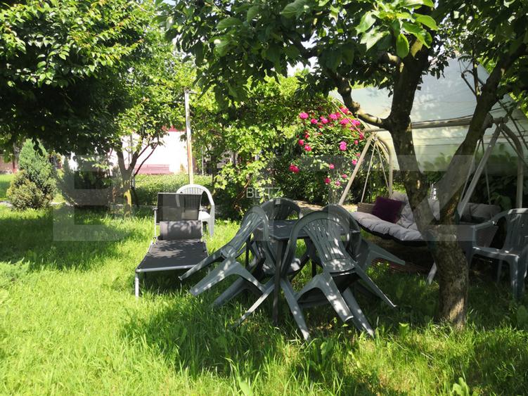 Teren intravilan generos + 2 case – 15.277 mp, front 30 m, multiple posibilități - 12