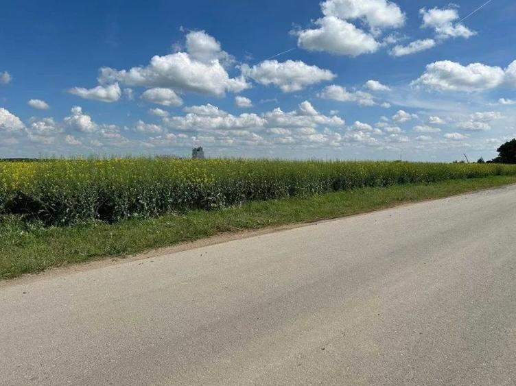 Moara Vlasiei - zona industriala, 17.000 mp