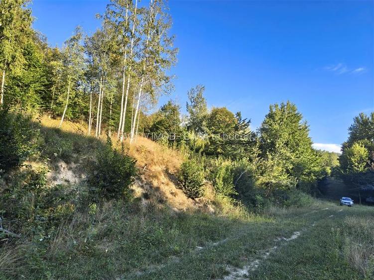 Teren intravilan de vanzare in padure Cisnadioara - 10